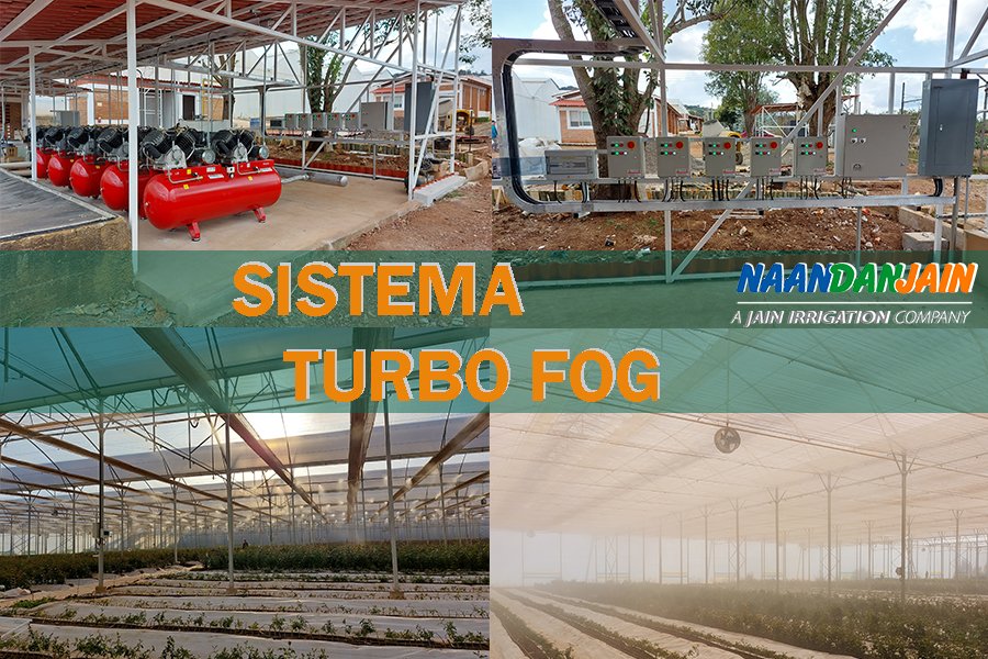 NaanDanJainES's tweet photo. 💦💨 Sistema #Turbofog: aire y agua a baja presión para tratamientos y #controlclimático en #invernaderos.🌹Proyecto en invernadero de rosas, Jalisco, México. ¿Quieres verlo? 👉 https://t.co/UPRT5B5twb
#Naandanjain #Nebulización https://t.co/ZPAPLn1iD0