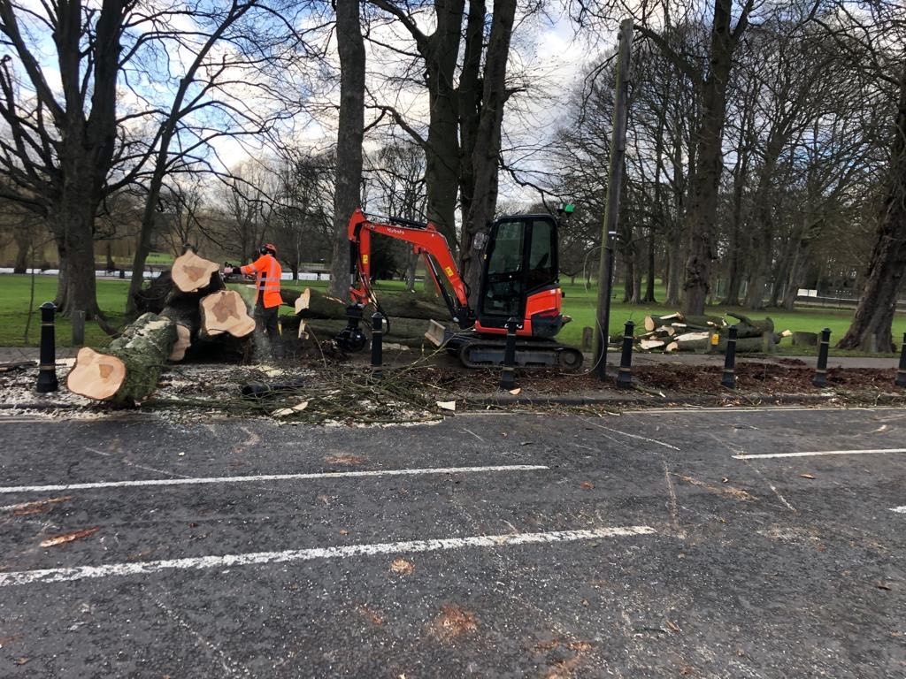 Kings Landscapes tweet media