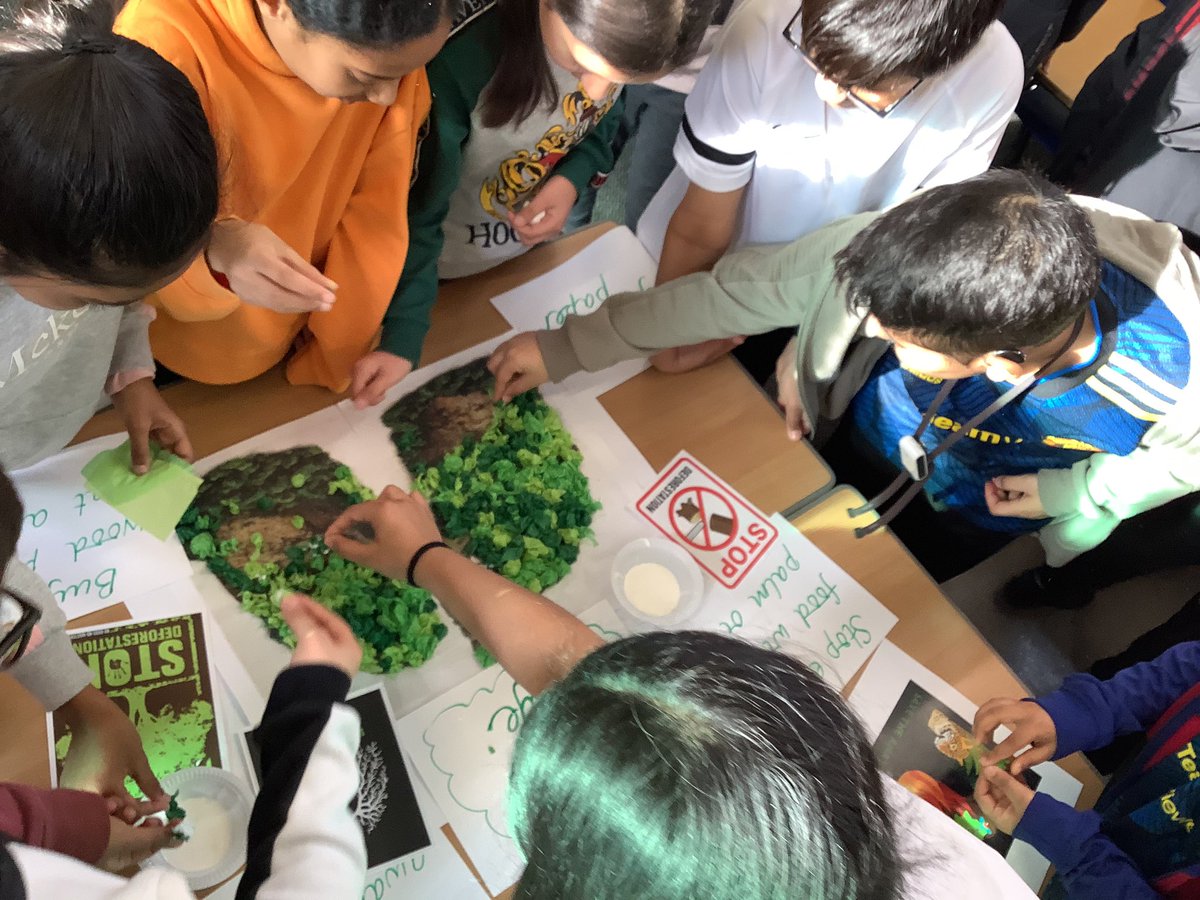 MayflowerPSch's tweet photo. After sharing their information, 4CR requested the children from Years 3, 5 and 6 “Make a Pledge” to help save Rainforests.
#SpreadAwareness
#SustainablySourcedProducts
#NoToPalmOil
#Recycle https://t.co/IFqfw5farD