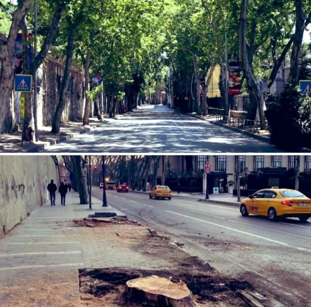 Nerde bu devletin savcıları ? Ecdadin mirasına ve gelecek mirasimıza katliam yaplırken nasıl sesiz kalınabilir. Vicdanlar nasıl susturabilir. Karıncanın bile hakkını savunan ecdadın kemikleri sızlıyor...