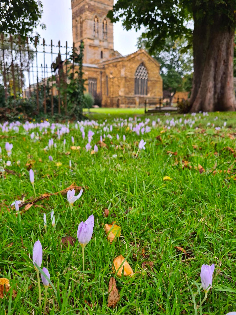 SaveStreetTrees's tweet photo. Great to be reinstating the ancient #tree canopy at  St Giles on Mar 14 with @StGilesTerrace @RotaryNmpton &amp; @QGCanopy #Northamptonshire lead Paul Parsons. More👉https://t.co/p2AEpTgJvv. Listen out for St Giles Community on @BBCNorthampton Monday's breakfast show! https://t.co/w3mN3GLJNQ