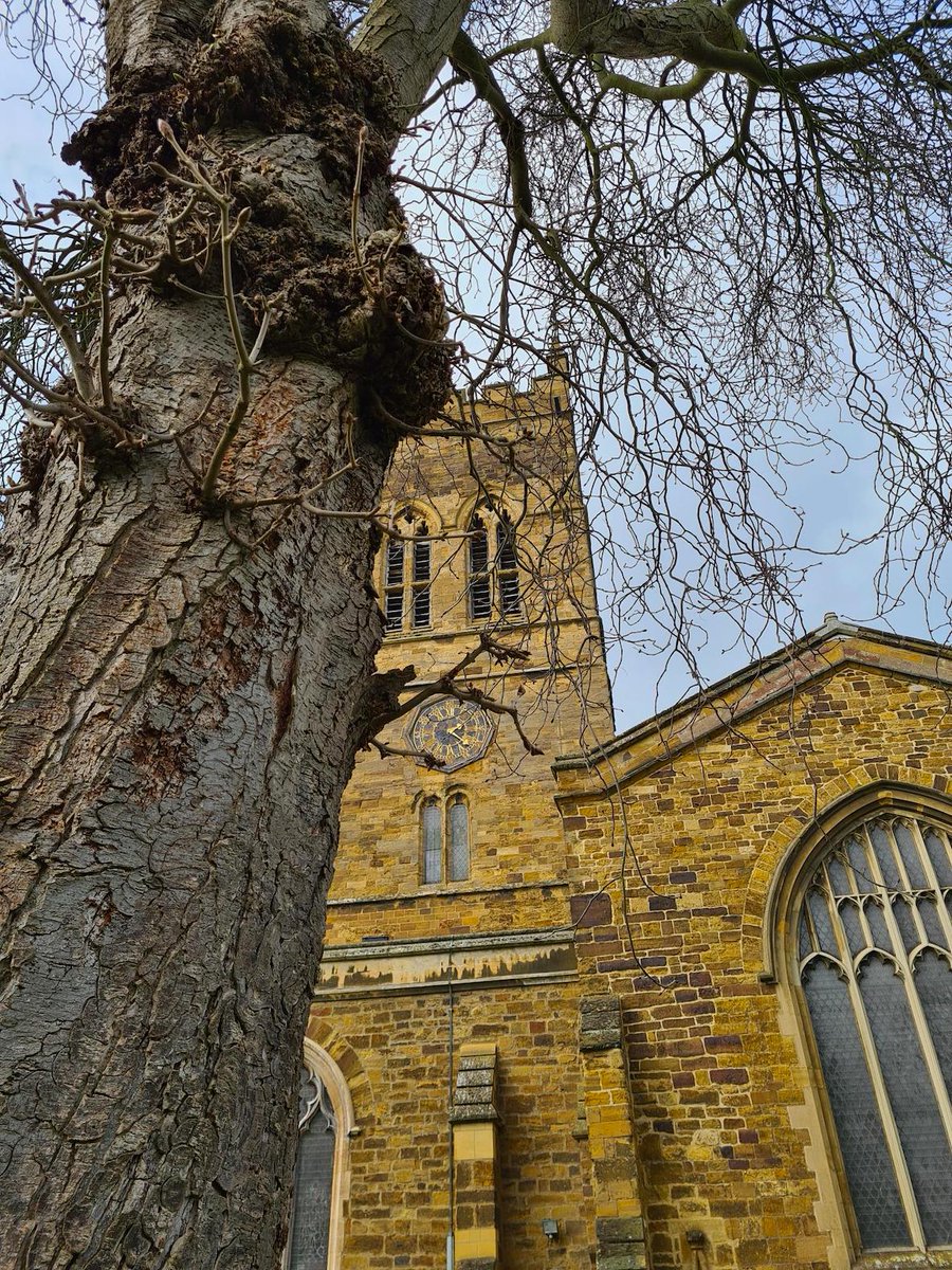 SaveStreetTrees's tweet photo. Great to be reinstating the ancient #tree canopy at  St Giles on Mar 14 with @StGilesTerrace @RotaryNmpton &amp; @QGCanopy #Northamptonshire lead Paul Parsons. More👉https://t.co/p2AEpTgJvv. Listen out for St Giles Community on @BBCNorthampton Monday's breakfast show! https://t.co/w3mN3GLJNQ