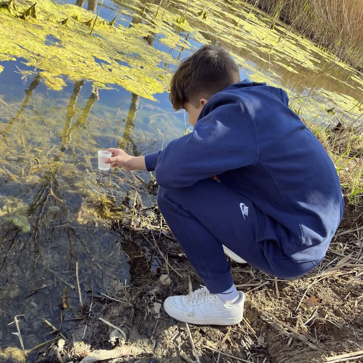 INSBaixEmporda's tweet photo. Fa dues setmanes l'alumnat de 3r A va anar a analitzar l'aigua de la Bassa Prat d'en Xirlo 💧🧫 #projecteaigua https://t.co/siB9z4g1Sb