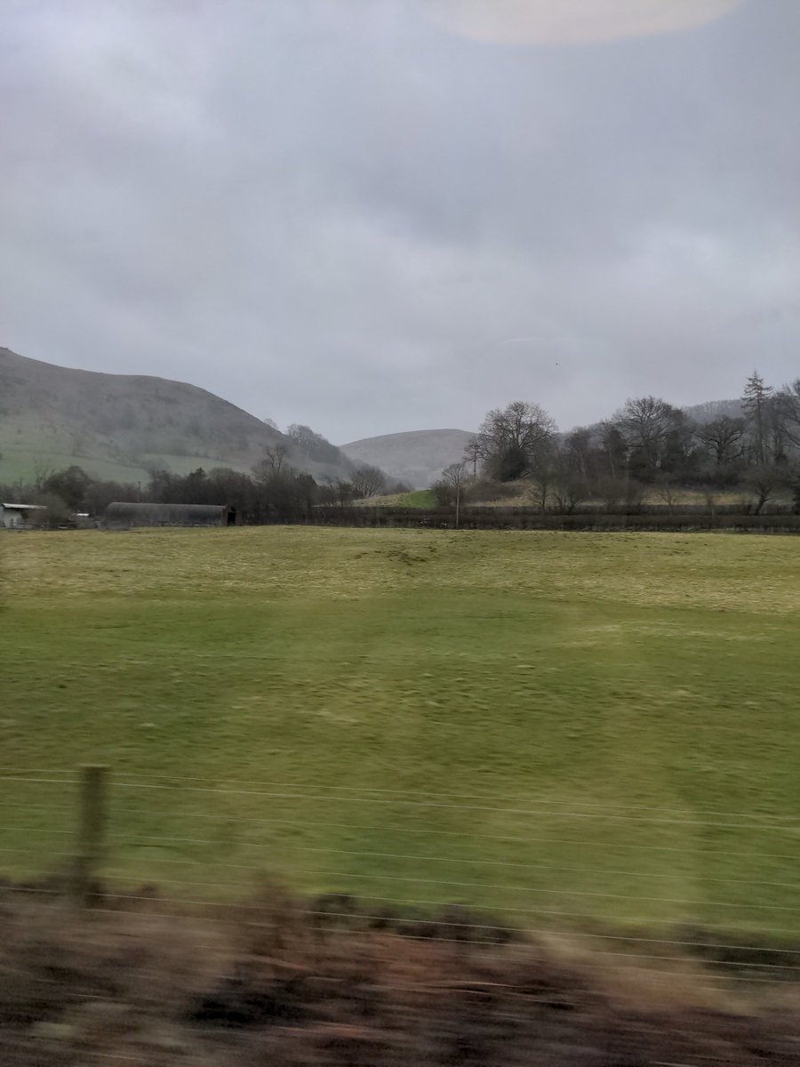 Judith Berry tweet media