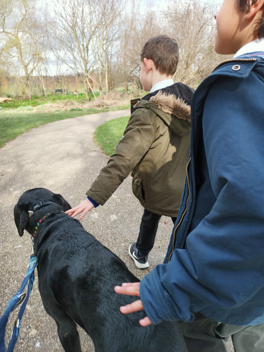 thewillowN17's tweet photo. It's Friday! Who will be coming for a Daisy walk at lunch today? @guidedogs #DogsofTwittter #dogs #responsibility #alternative_thinking #alternativeprovision #outdoorfun #outdoorclassroom #outdoors https://t.co/IQDPQtjPsk