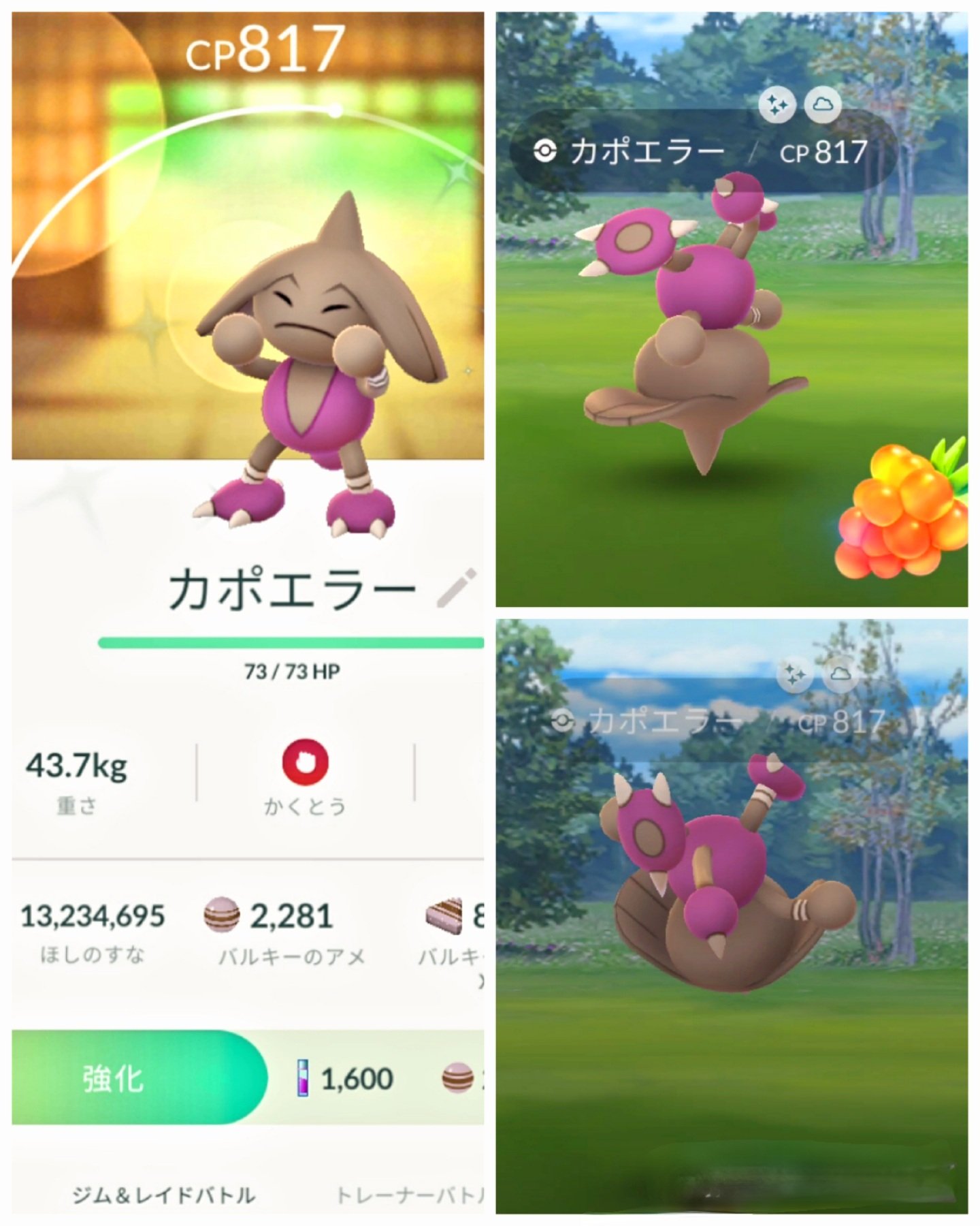 ｶﾎﾟｴﾗｰ Twitter Haku Twitter