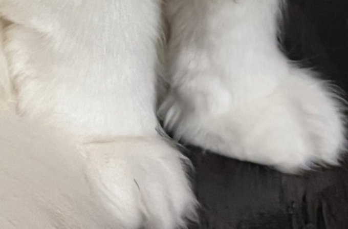 ベビモフのtwitterイラスト検索結果 ベビモフのtwitterイラスト検索結果