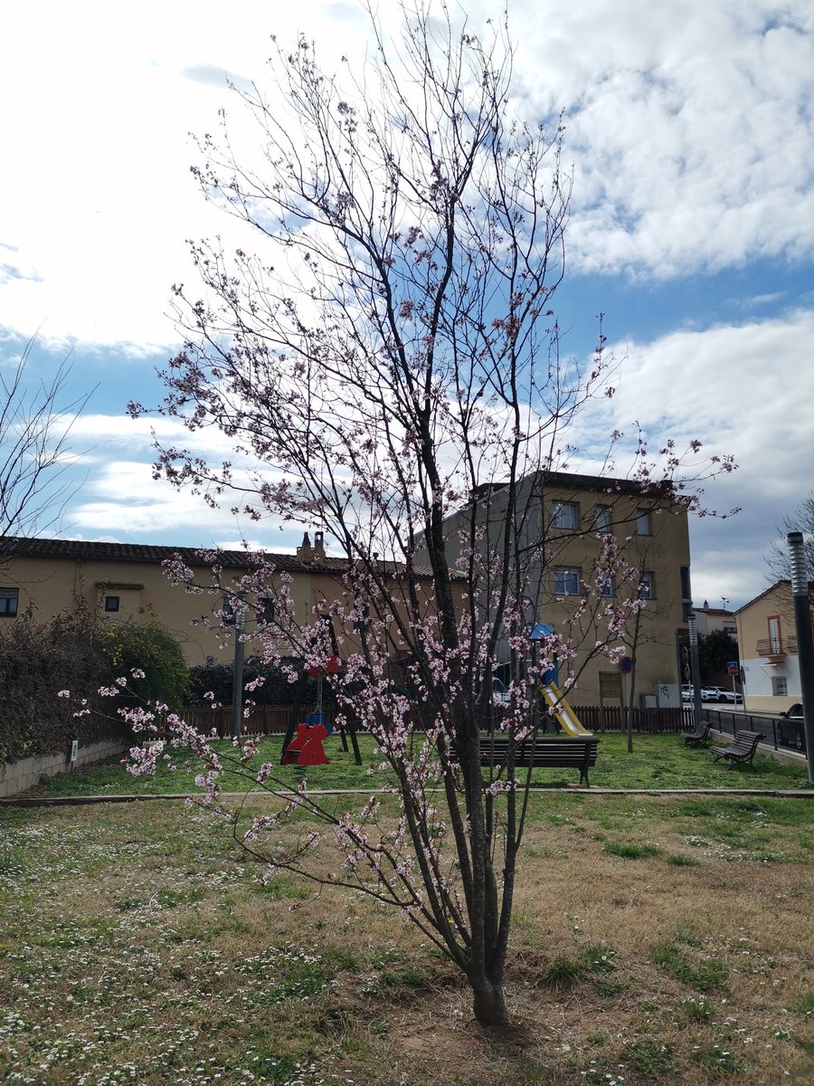 Ajuntament de Bordils tweet media