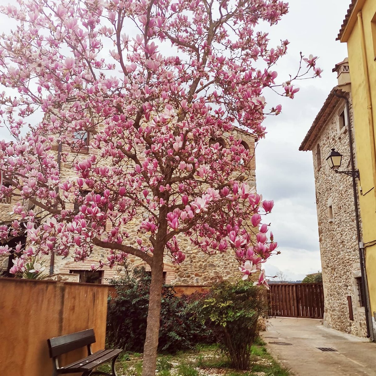 Ajuntament de Bordils tweet media