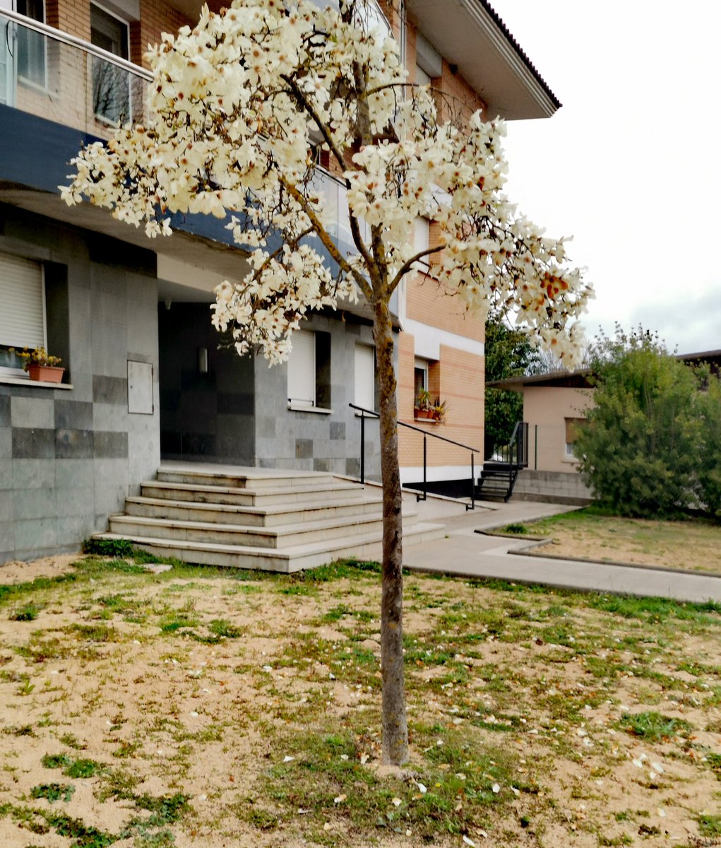 Ajuntament de Bordils tweet media