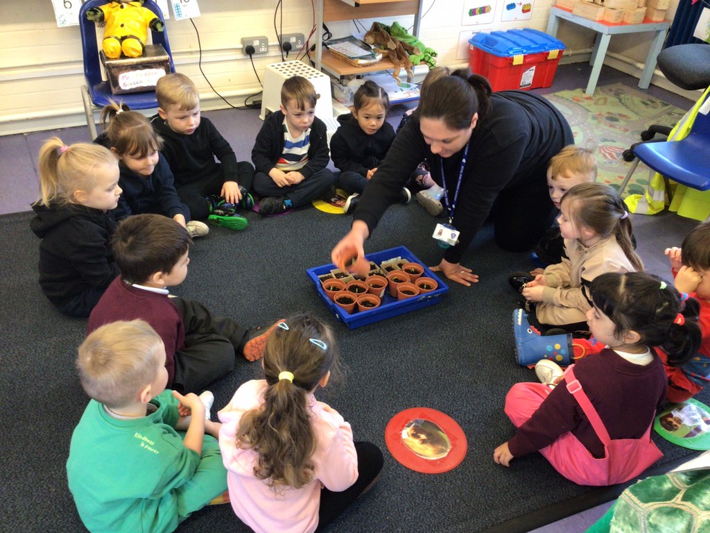 NRoyalpark's tweet photo. Last week, we planted our Jasper beans. Yesterday we had a look at how much they have grown. We saw some stems and roots at the bottom! Fingers crossed we will have some beanstalks soon! 🌱🫰 https://t.co/w6aVJ1ywGm