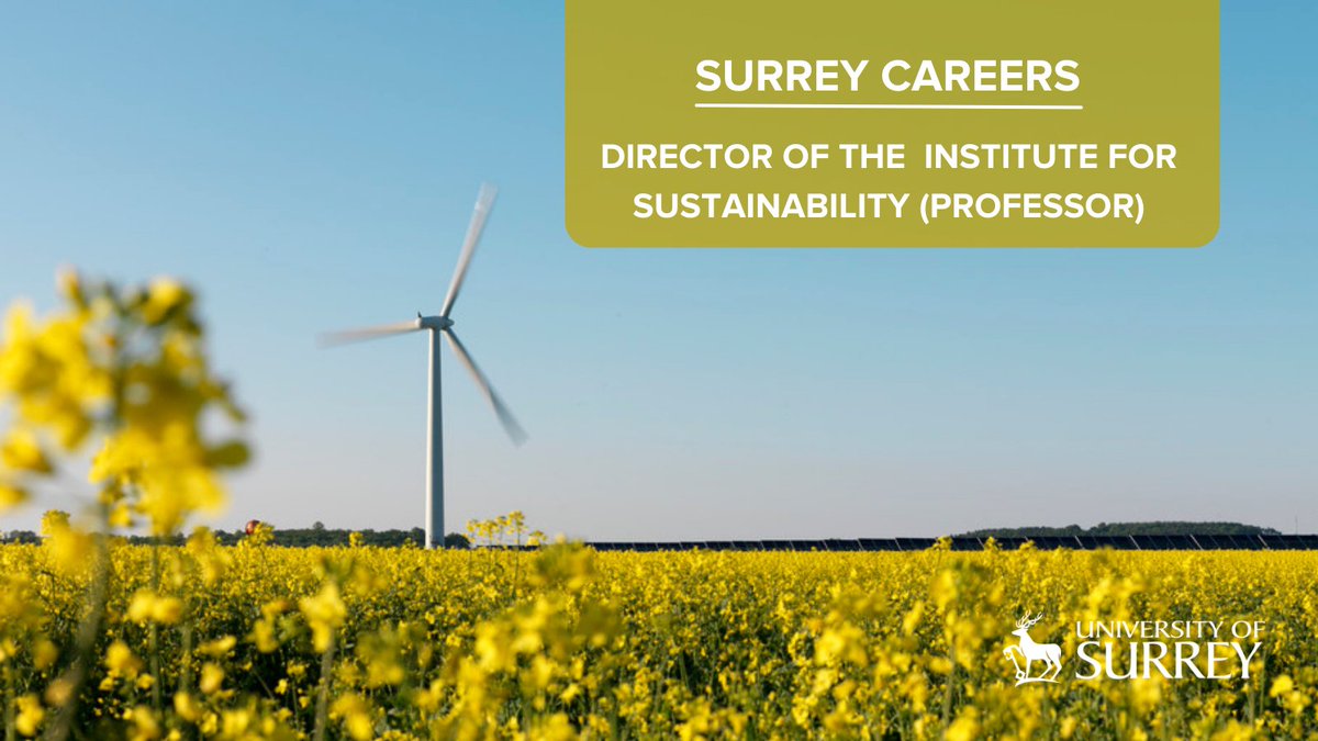 We're seeking to appoint a leader of international standing in the field of sustainability to be the inaugural Director of our pan-University Institute for Sustainability, to shape the direction of our research and innovation.

For further details | ow.ly/Kkg650IgVRh