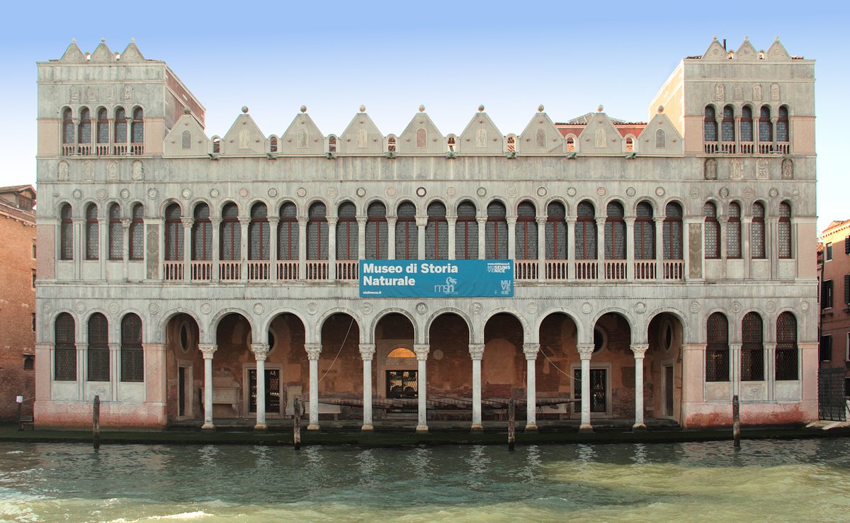 EnjoyRespectVe's tweet photo. Era l’#11marzo 1621 quando Palazzo Pesaro, uno tra i più caratteristici palazzi affacciati sul #CanalGrande, venne destinato ai #mercanti #turchi, i quali lo tennero fino al 1838, diventando cosi’ il #FontegodeiTurchi. #Oggi è la sede del #MuseodiStoriaNaturale. #Fondaco https://t.co/8bMclEMeFt