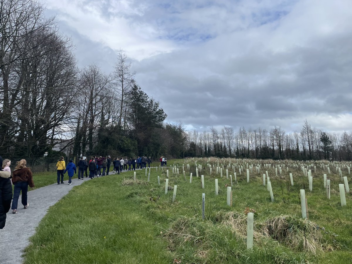 msomearasclass's tweet photo. 6th class went on a walk to the Infinity Native Woodland Pathway yesterday to see over 5,000 trees which have been planted here. #nature @MilfordNS82 https://t.co/J7SqWbo3gt