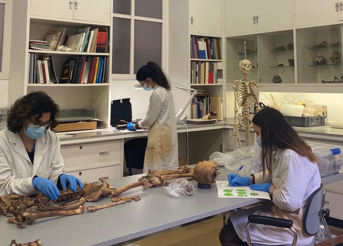 macarqueologia's tweet photo. Des de principis de gener, el Laboratori de Paleopatologia del #MACarqueologia acull les restes esquelètiques de la guerra civil procedents de la fossa 126 de Paterna. 🔬 Al laboratori es fan tasques de cura i estudi per tal de poder-les identificar i retornar als seus familiars. https://t.co/jO89yGKhOb