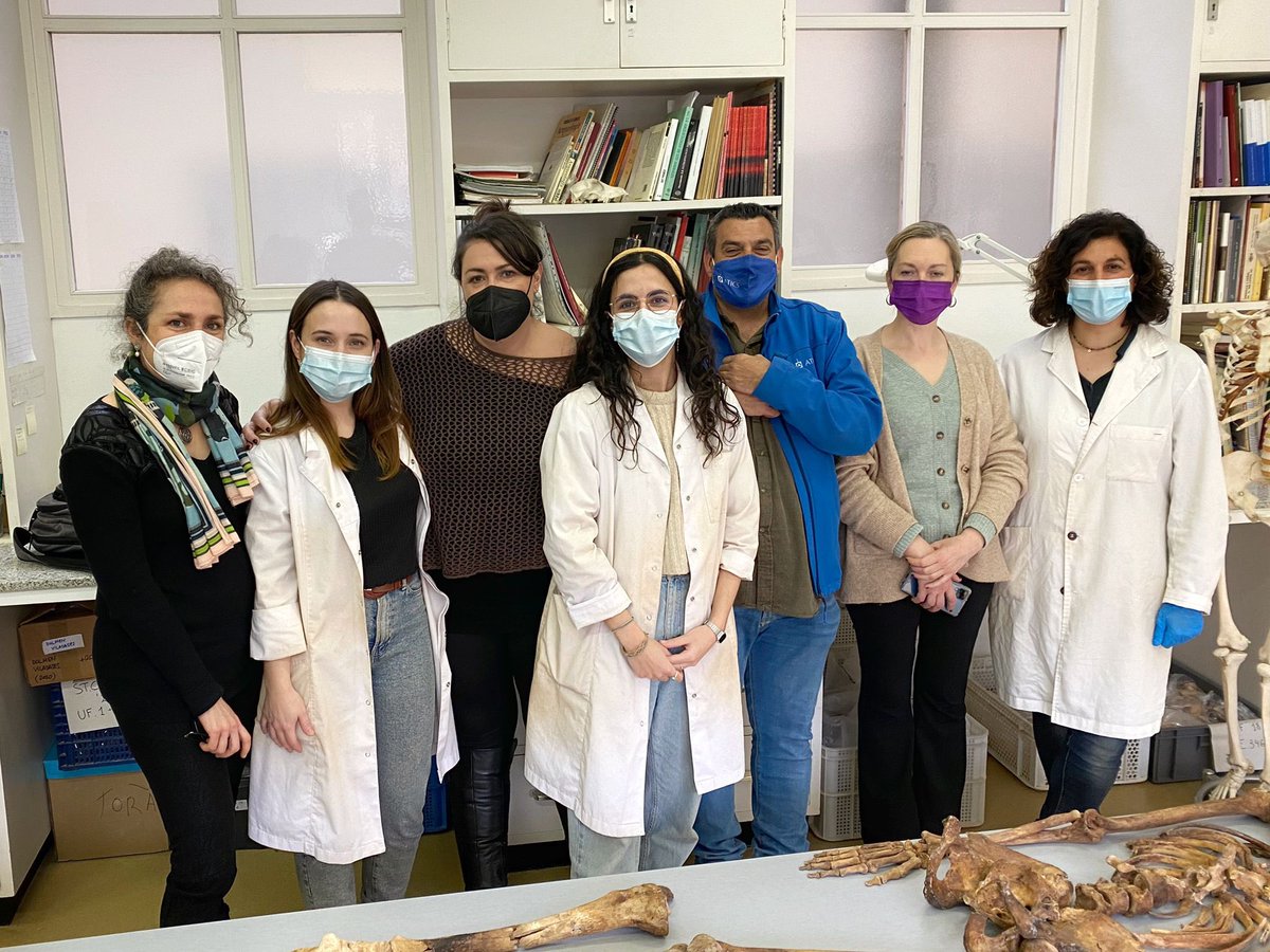 macarqueologia's tweet photo. En els darrers 20 anys s’han intervingut més de 25 fosses i actualment estem excavant la més gran, amb més de 170 víctimes. De moment s’han exhumat 53 individus, i s’estan executant les tasques d’estudi antropològic al laboratori del museu coordinades per la Dra. Núria Armentano. https://t.co/UNAxMMsO7n