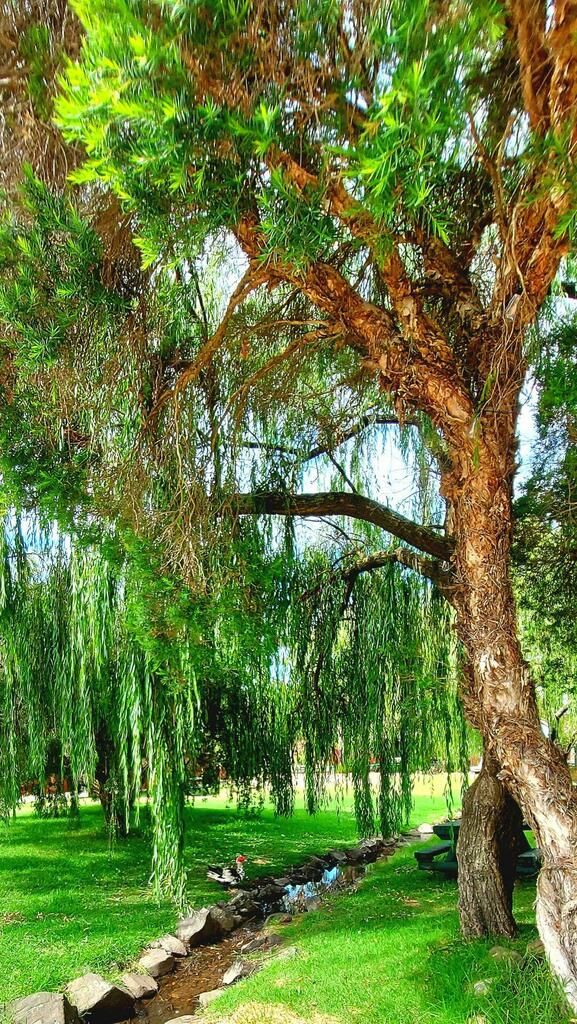 #gardening "Old Gippstown", Gippsland's Heritage Park , Victoria, Australia.