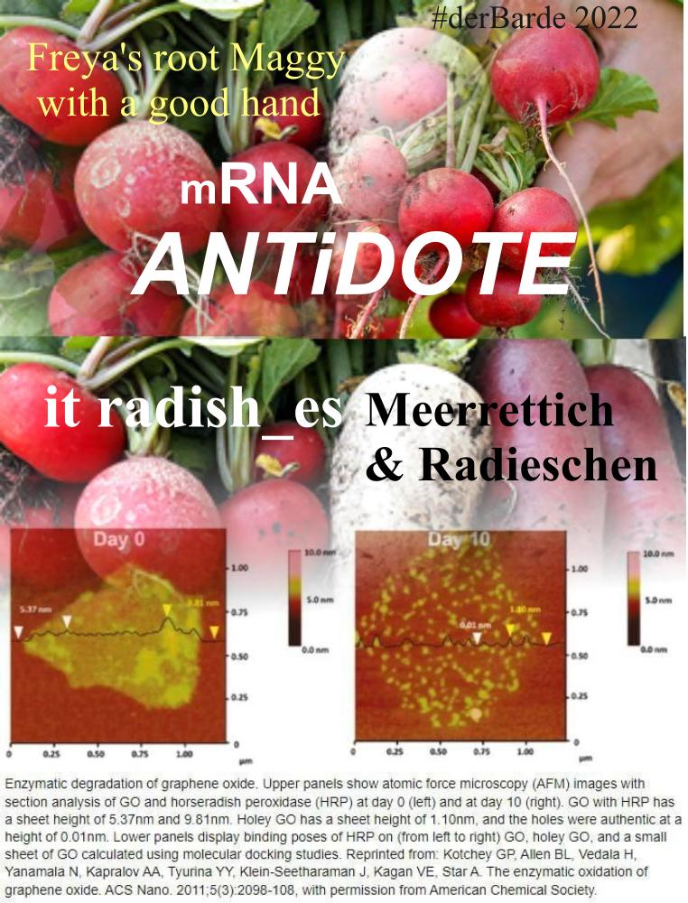 EKreibe's tweet photo. Von der #Donarquelle ,
das #mRNA_ANTiDOTE gegen Impfschäden.
#derBarde gibt mit guter Hand Donnar`s scharfe Wurz, Freyas Wurzel Maggy bekannt. https://t.co/mWxj2gzwO6