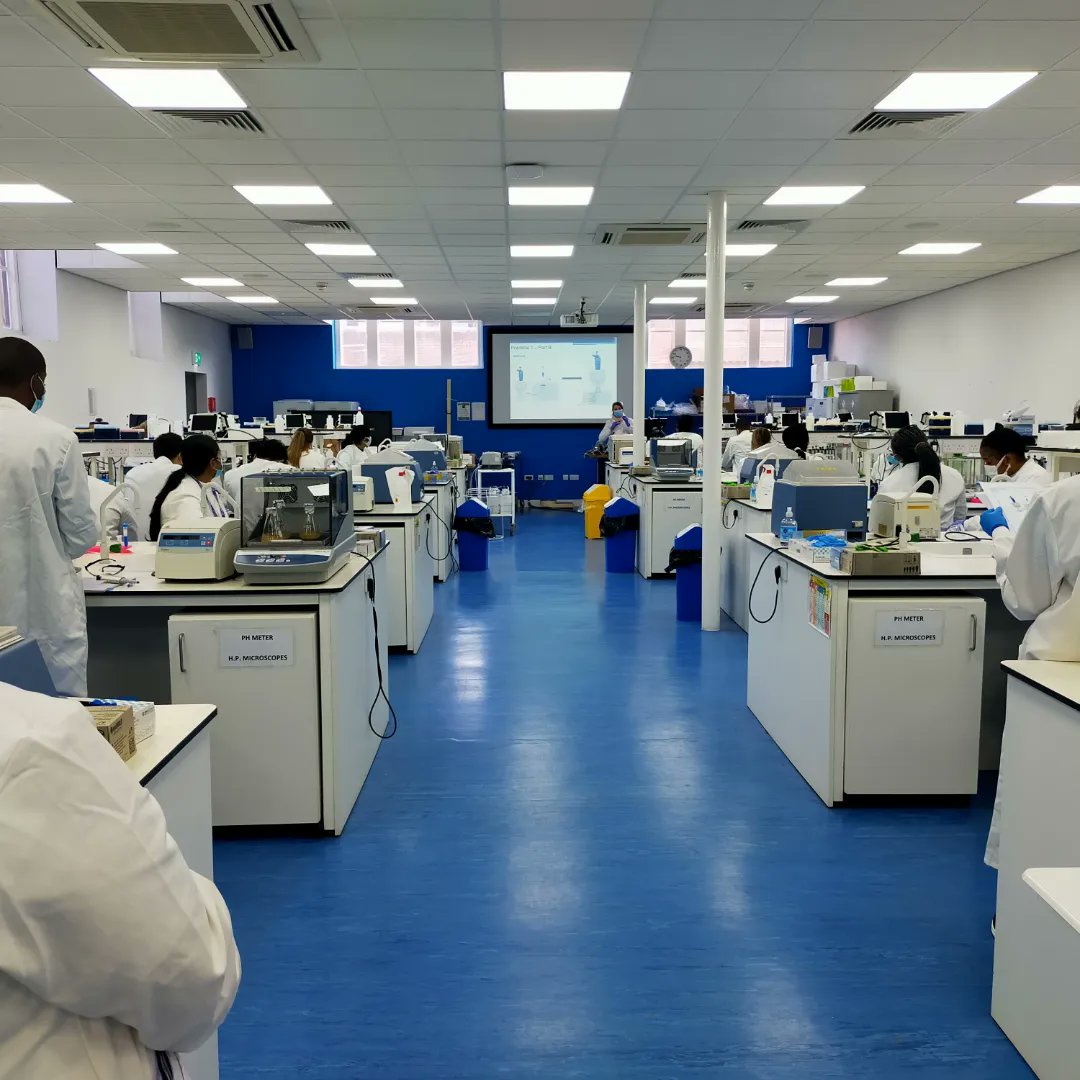 UoCMedSci's tweet photo. It was an absolute pleasure to welcome our first #MD7002 students in the lab this week. 

Thank you Dr @M_Cordingley, Dr @ElyseIreland Dr Gemma Jenkins Dr Ioanna Myrtziou Kanaki and @KristinaRandle5 

We will be very happy to meet more of our postgraduate students next week. https://t.co/ZyG9ZsxqKb