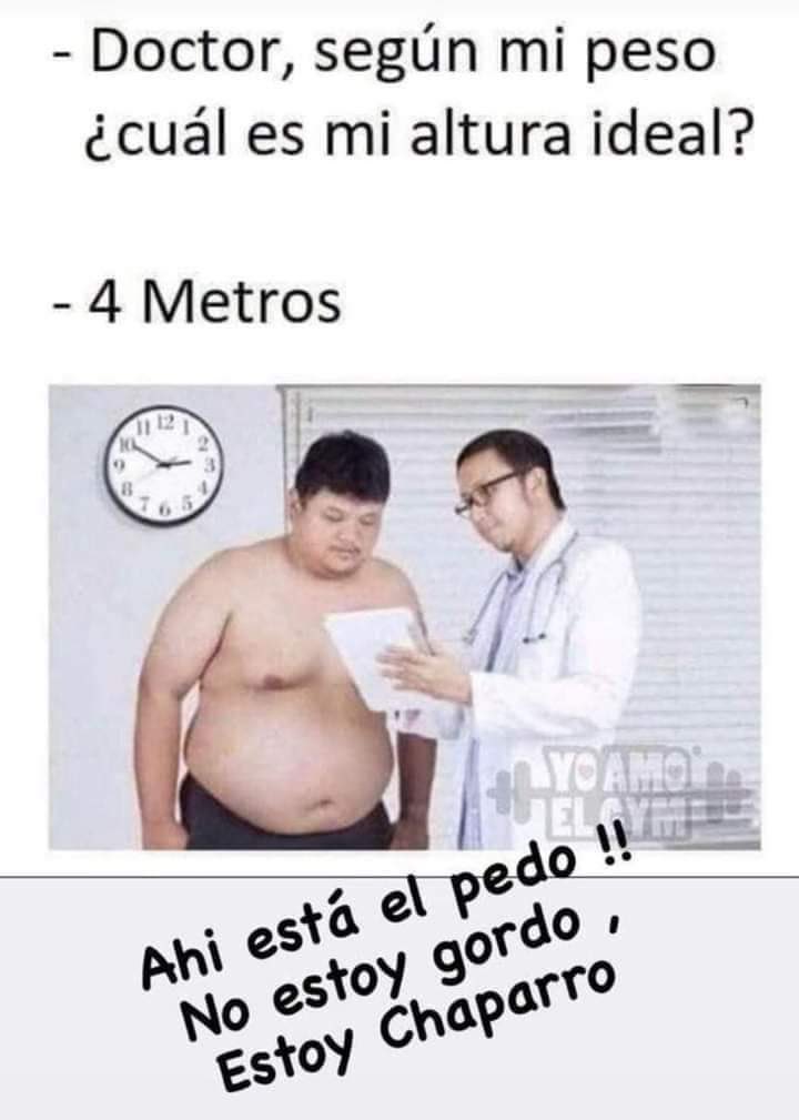 ingenierortiz's tweet photo. @yaparateoficial #ConsejosPerrones No estoy gordo, solo me faltó crecer! https://t.co/LQcPKdxmBN