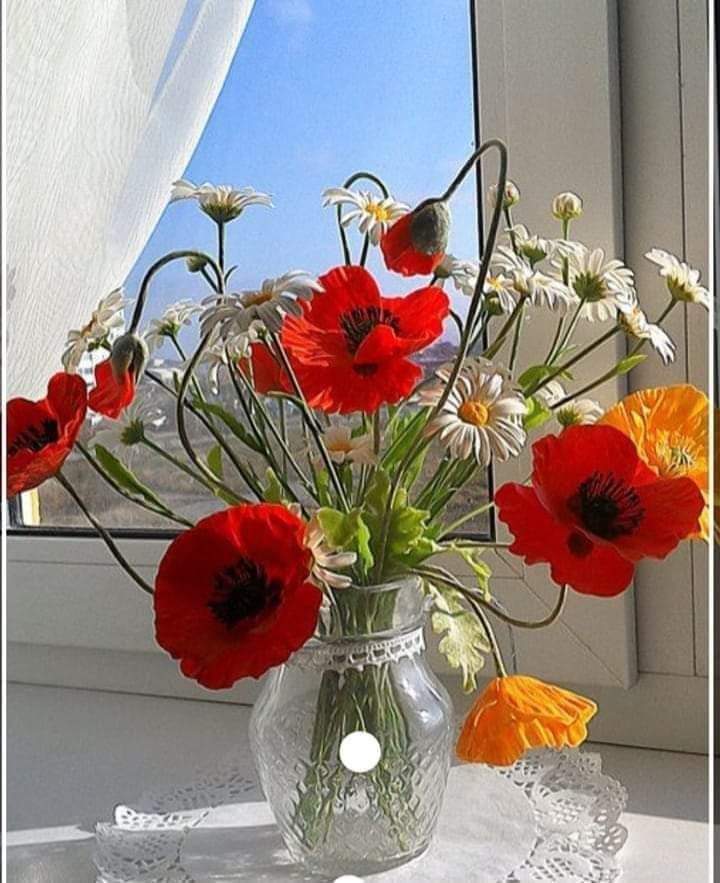 KFenerli81's tweet photo. ⚘❤Rengarenk bir hayat var önünde. 
Dört  mevsim bahar olsun gözünde gönlünde. 
Gökkuşağına benzesin ömrünün her günü, 
Gülünce güller Gözlerinde 🌈🌤💙🌹🌸🎶☕️Bugün seni çok özledim. 
Bunu hangi gün okursan oku o gün de seni özlemiş olacağım. https://t.co/Mp0FtKYY3k