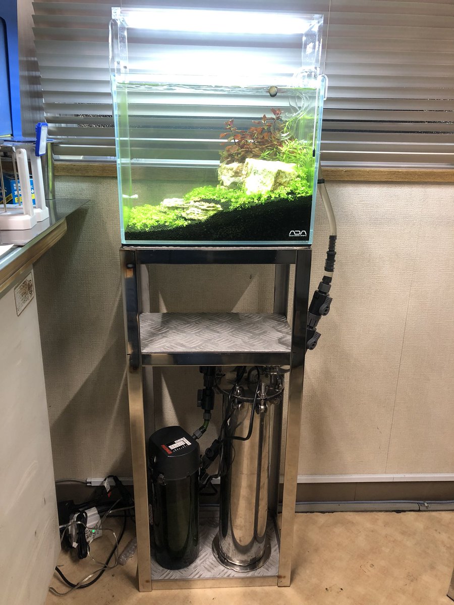 外部フィルター インラインヒーター ステンレス製 Www Cystenhair Com Br