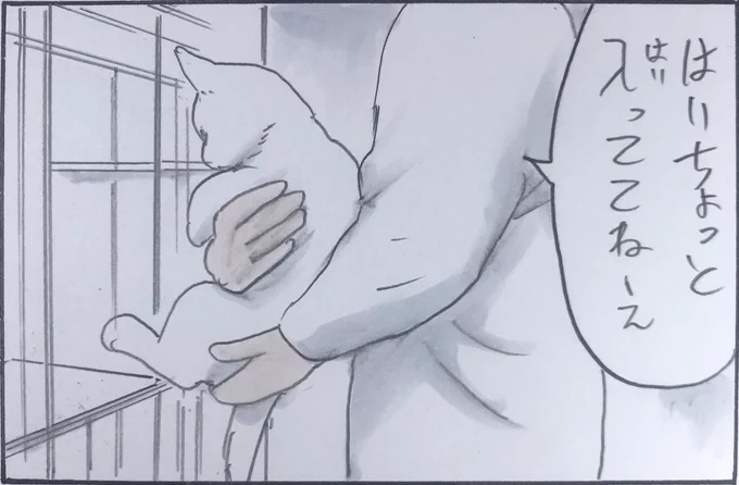 『すり抜けの術』 