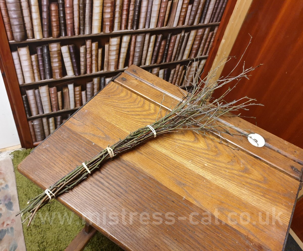 TheMistressCat's tweet photo. Today's naughty boy was set the task of making his own birch rod. Marks out of ten? (Pun intended.)
https://t.co/t5Kb4A3jwR
#birchrod #punishment #birching #discipline https://t.co/ig6SNjoYa7