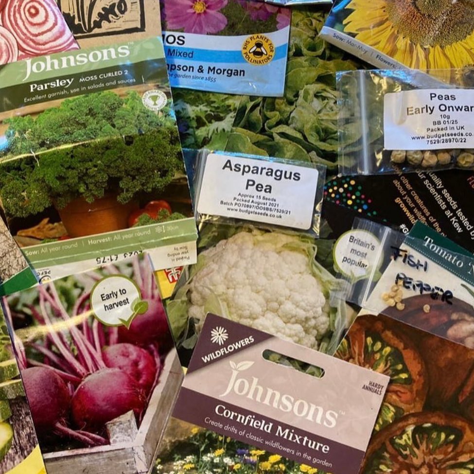FestivalStoke's tweet photo. 💚 Seed Swap Blog 💚
Read all about the fun seed swap up at plot 33 on the latest #greeningstoke blog here ⬇️
https://t.co/39GOVb2eTi
Don’t forget to sign up for newsletters whilst you’re there 😊
@Lettingintlight #allotmentblog #stokeontrent #communitygarden https://t.co/QdQ3ZyCAS2
