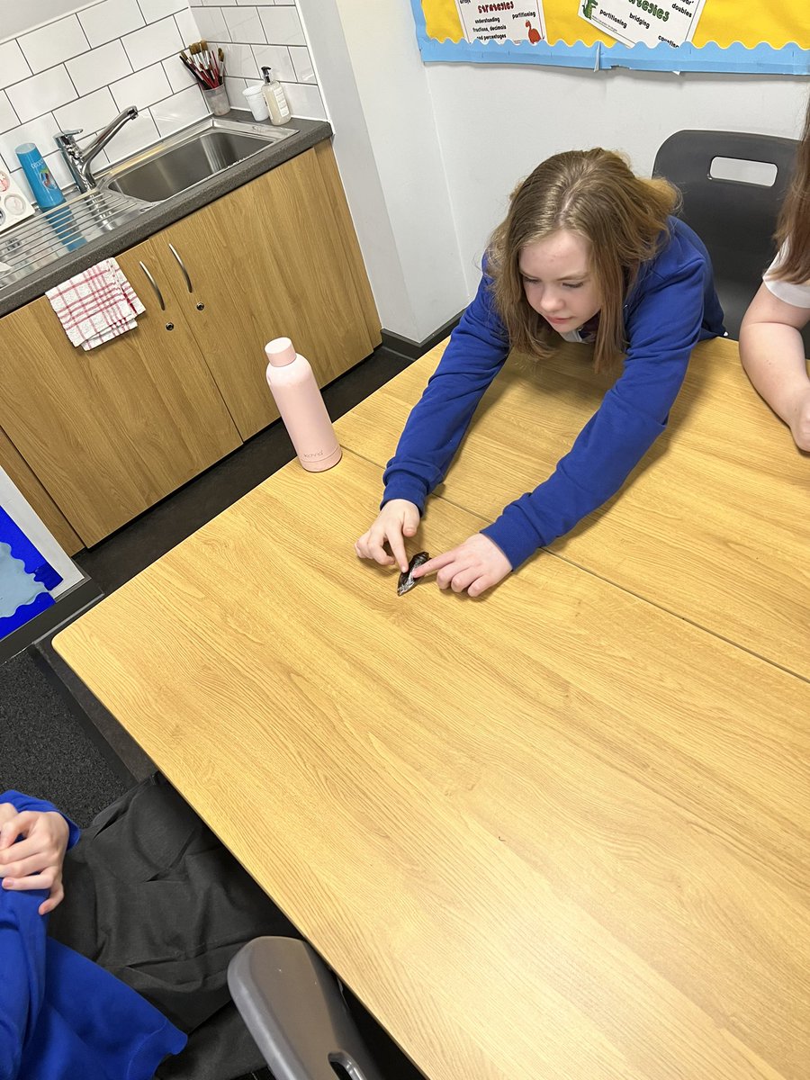 StBrendansYoker's tweet photo. P7b enjoyed a fantastic talk from Dr J. Butcher from Glasgow Caledonian University about his job in Food Science. We looked at protein sources 🦗 and  discussed how to get into a job in the Sciences.
@ScienceWeekUK @DYWglasgow @STEMglasgow @foodbioGCU @GCU_BIO #BSW22 https://t.co/vaocWYHpAq