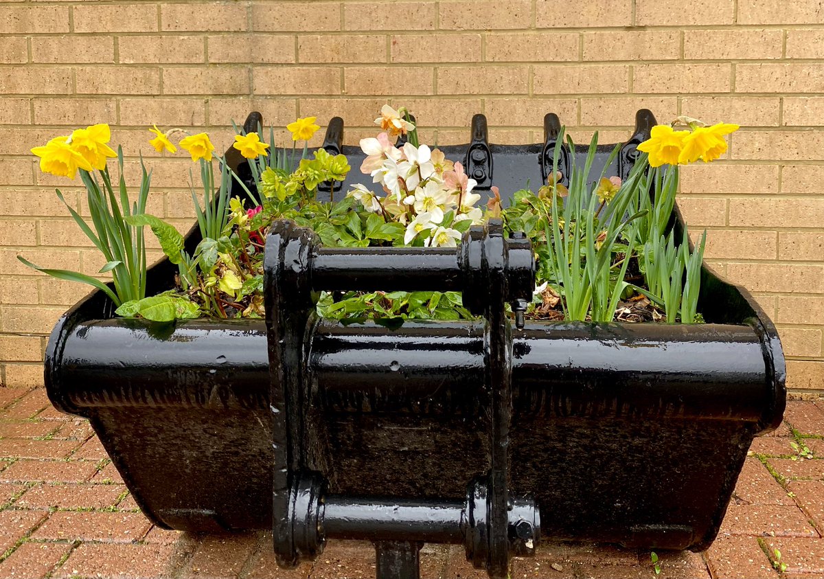 Despite the bad weather our digger bucket planter is brightening up the entrance to our depot #spring #cbl #excavator