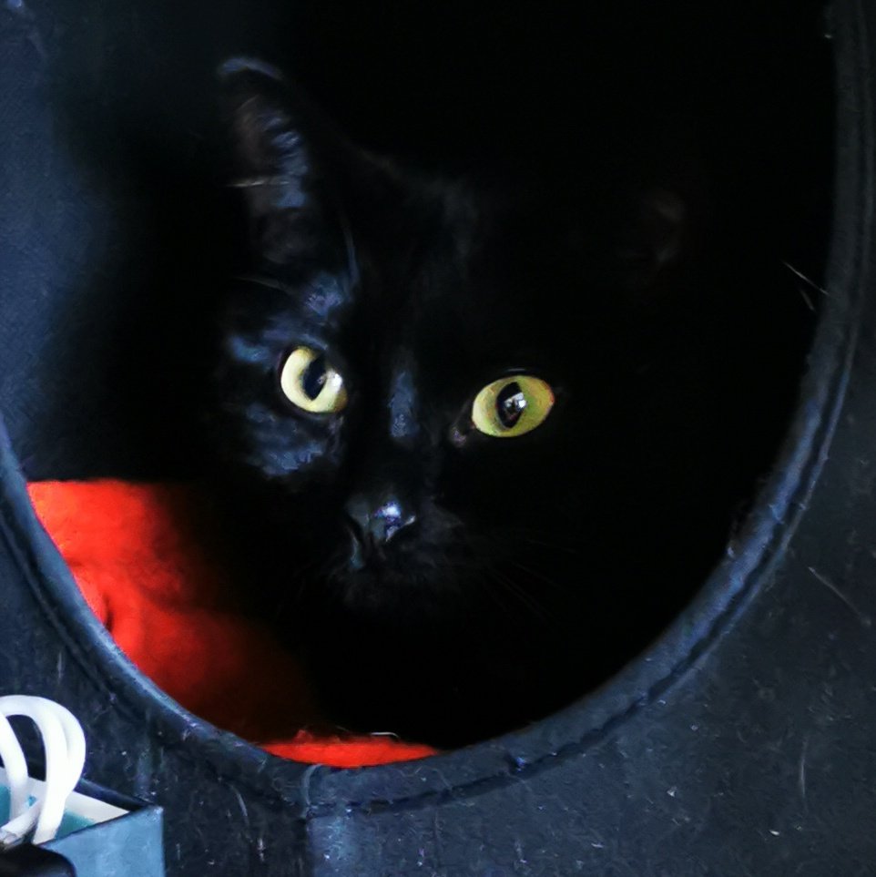 Groot & Rocket tweet... tweet media