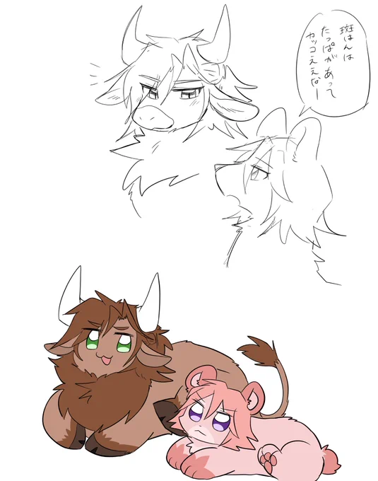 🐻🐂 