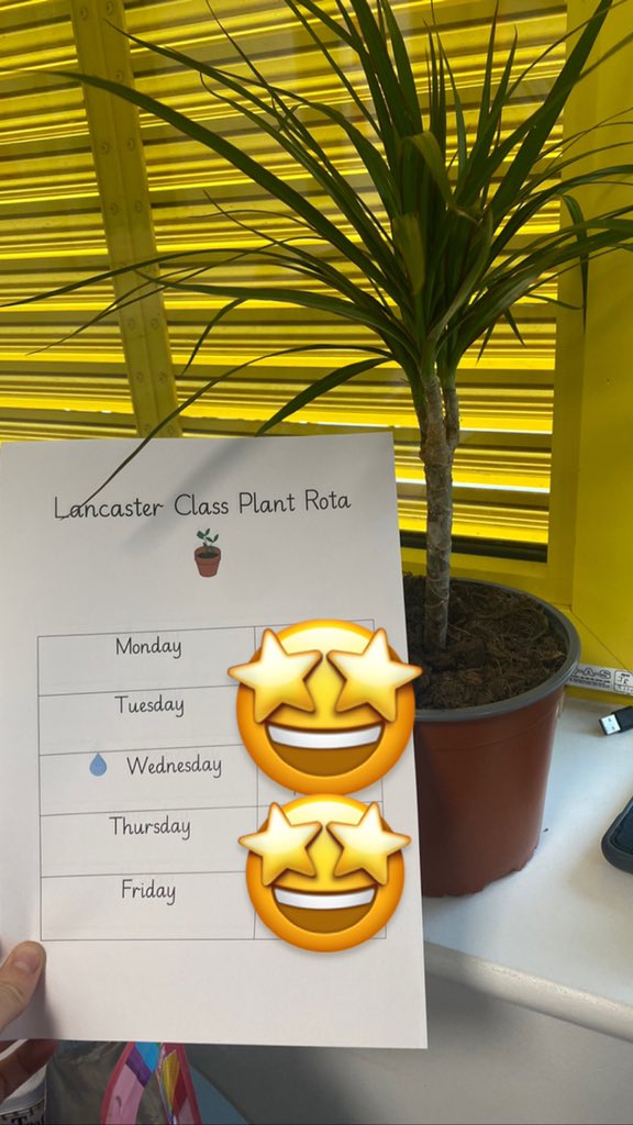 We discussed responsibilities and our needs in PSHE this morning. We now have a class plant that will be looked after by the children! Hopefully it will stay alive 🤣🤪 #PSHE