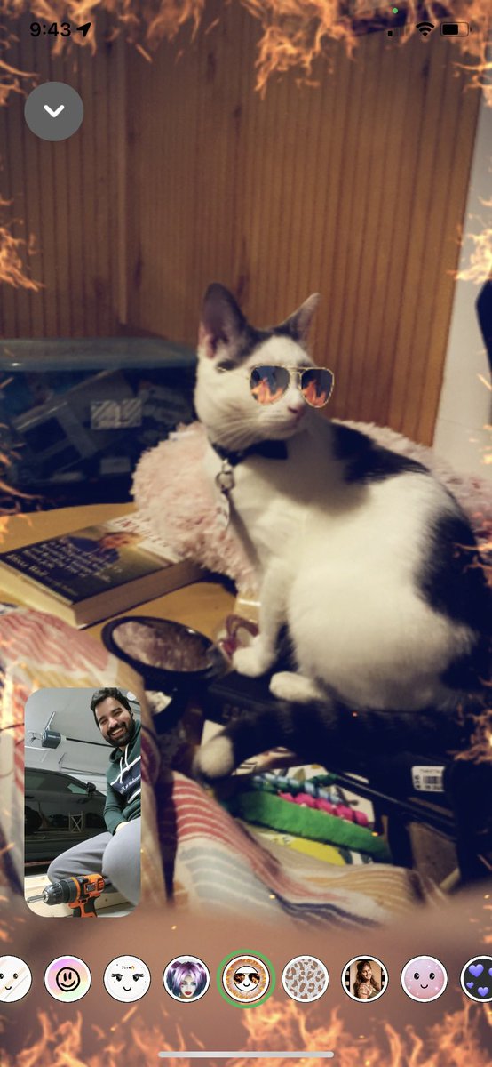 PinkPodRoom's tweet photo. @dawgmommi_bird Mr. says hi!! 💛 https://t.co/Ie5FGEJOJS