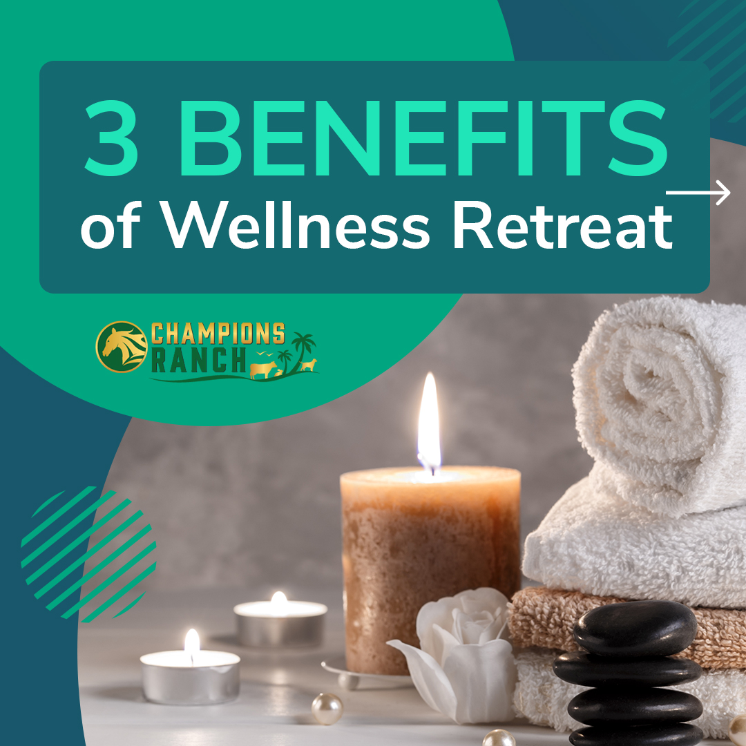 championsranch's tweet photo. 3 Benefits of Wellness Retreat for you!!!
Going on a wellness retreat can positively impact your emotional well-being.
Link - https://t.co/ZJwGefQ6yY
#SpaService #championsranch #Naturopathy https://t.co/1HRD6Y8cAo