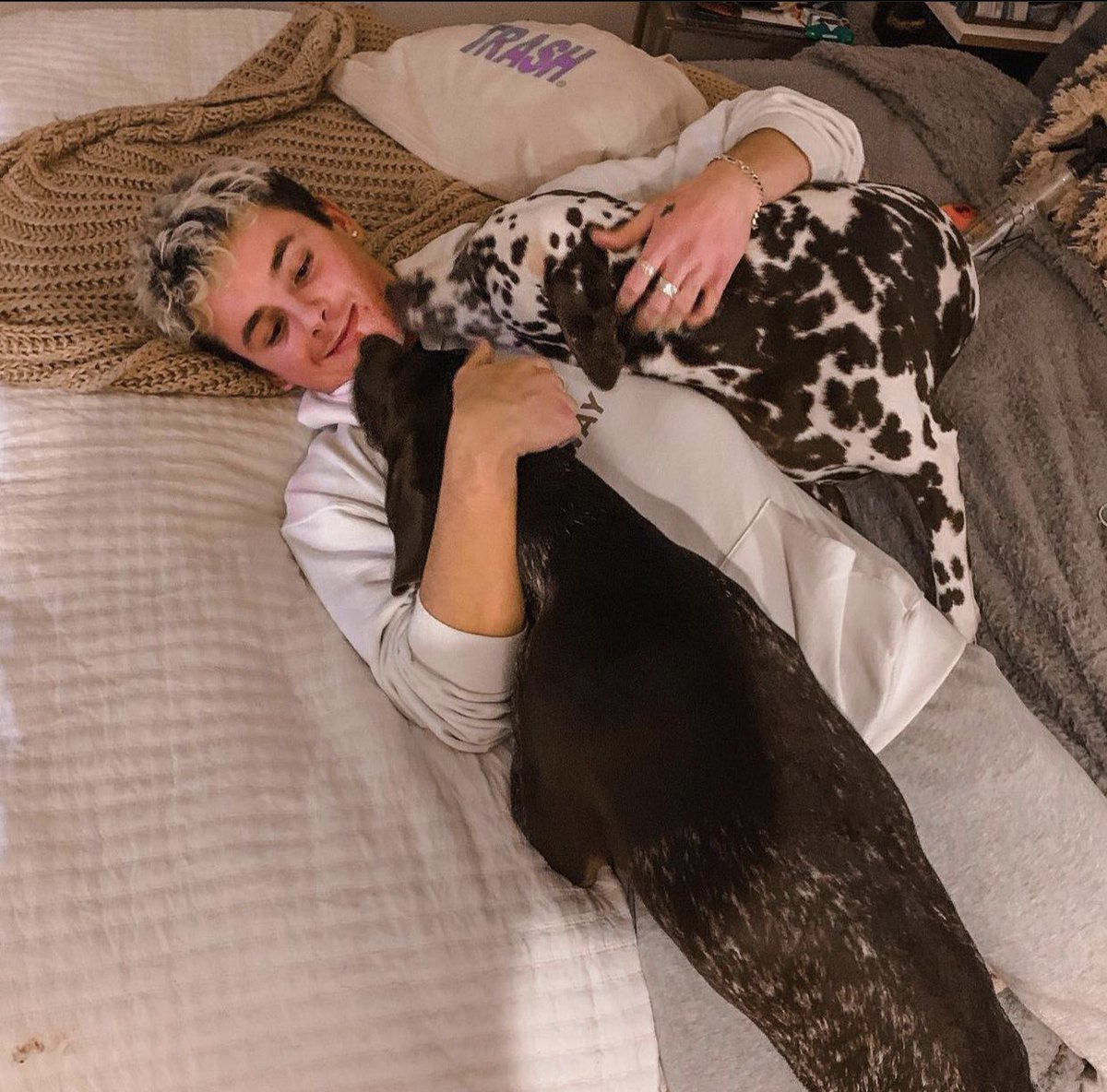 Carter Jamison tweet media