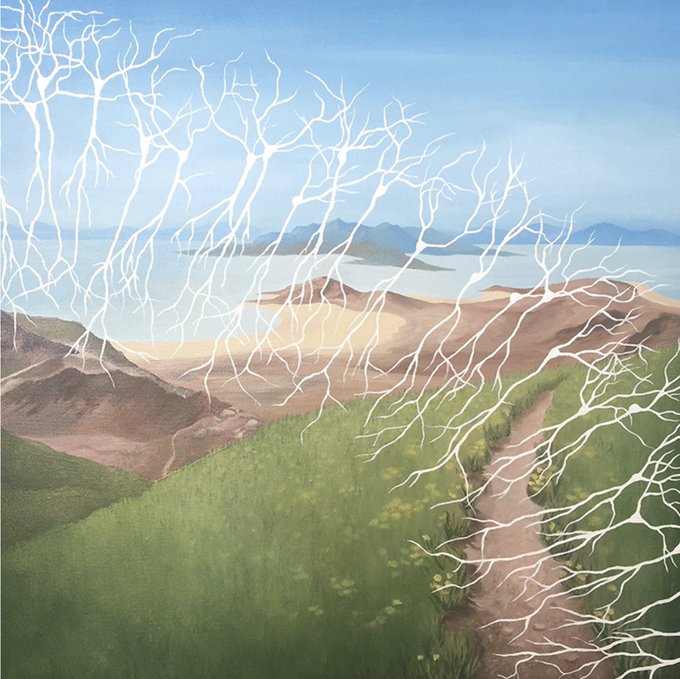 ZebrafishRock's tweet photo. Dr. Martin trained professionally as a graphic designer before graduate school and some of her work can be found on her website (https://t.co/d662lpPv7Q). Interested in graphic design for your work? View her @eLife webinar for helpful tips: https://t.co/U0rh93wb5U. 2/2 https://t.co/SJdvgsGDly