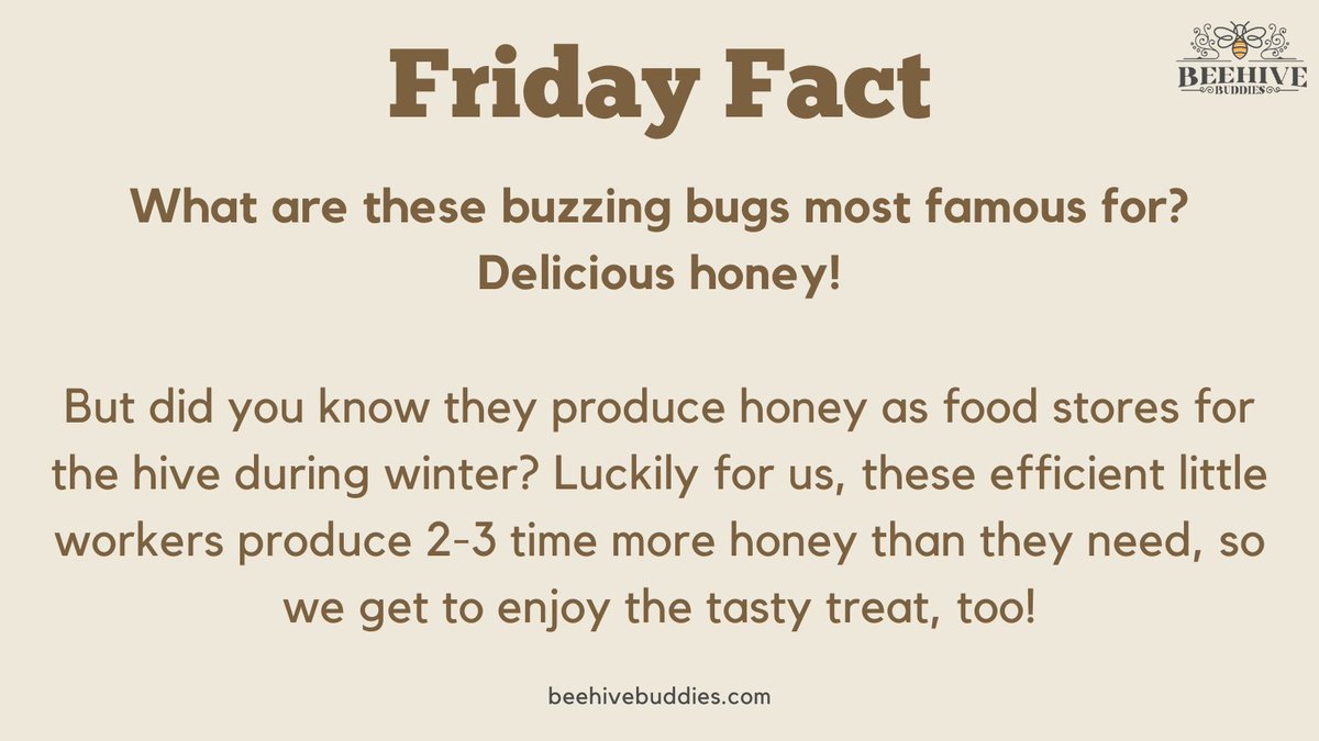 HiveBuddies's tweet photo. Simply put, honey bees need to make honey so that they can survive during the cold winter months. 

#savethebees🐝 #beekeeperslife #beehive #beelife #beekeep #lovebees #beekeepinglife #saveourbees #beekeeping  #naturalbeekeeping #beekeepers https://t.co/yCjHIZe9v5