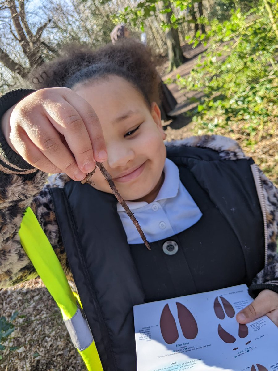 Year 3 visited Epping Forest to apply their knowledge of plants to a real life context. These Discovering Dolphins also identified a variety of birds and searched for minibeasts in their natural habitats. <a href="/GriffinSciSym/">Griffin Science Symposium</a>