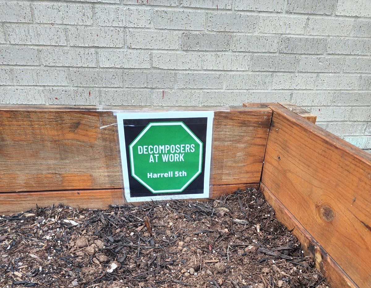 When your students propose you keep the science experiment worms, save food waste from lunch, and start a compost pile, you do it! I love that they took their learning to the next level. I love their excitement! #rrisdscience <a href="/AskiaLittle/">Askia Little</a> <a href="/BethRCassidy/">Beth Cassidy</a> <a href="/BluebonnetRRISD/">BluebonnetElementary</a>