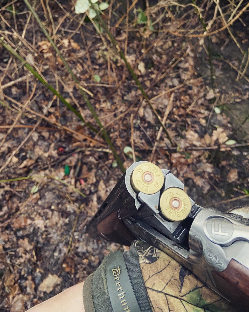 EleyHawk's tweet photo. βThe old faithful...β
Whatβs your go-to cartridge and gun combo for crop protection this year?
Thanks to @kieronberettagumm for sharing πΈ
See our pigeon loads π https://t.co/8PjWMFz6lt
#EleyHawk #PigeonShooting #Decoying #Roosting #CropProtection https://t.co/GPslNcsWkh
