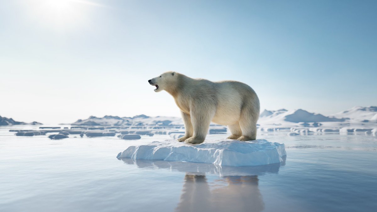 staoapso's tweet photo. Lakehead University researchers are looking for teachers to take part in a study on how climate change is intergrated in K-12 classrooms. The study includes a 15 minute survey and a follow-up interview. See survey here: https://t.co/msGBJ5yKaE

#STAO
#APSO https://t.co/5L7cmsymag