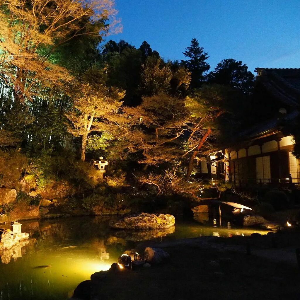 landfes_web's tweet photo. #東山花灯路 #東山花灯路2022 #青蓮院 #青蓮院門跡 #京都 #kyoto #オリンパス #olympus #olympusomdem10 #omdem10 #omd #em10 #microfourthirds #2022 https://t.co/VrRpoHZobP https://t.co/0PGKaA6tsL