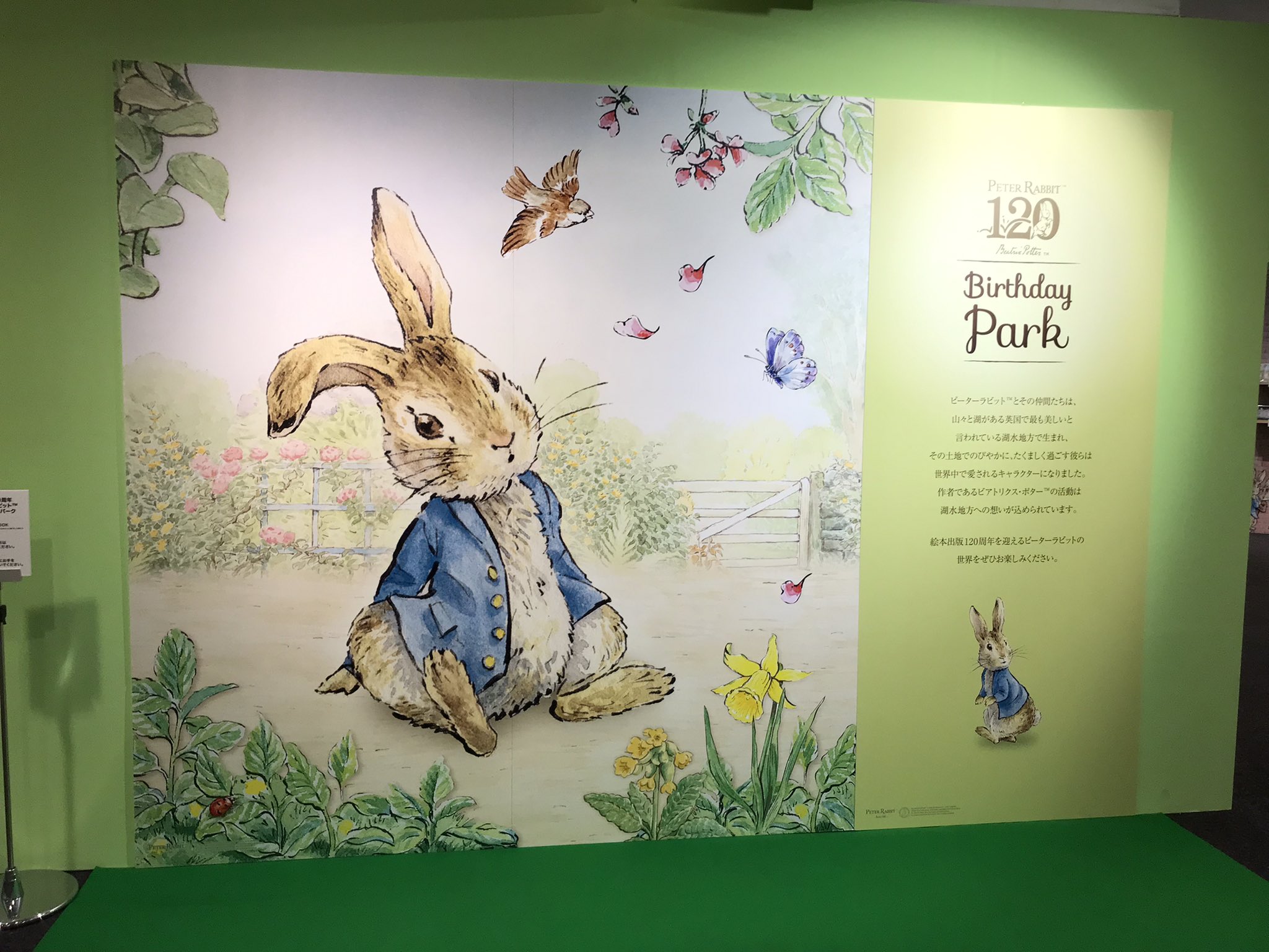ピーターラビット Twitter Search Twitter