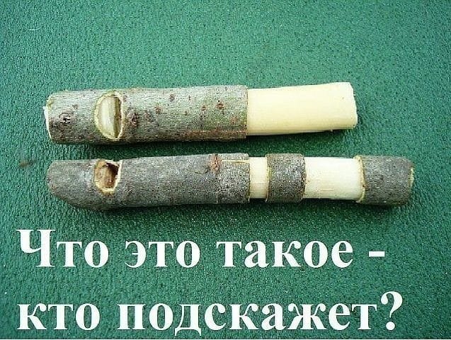 Salo50's tweet image. Делали?   )