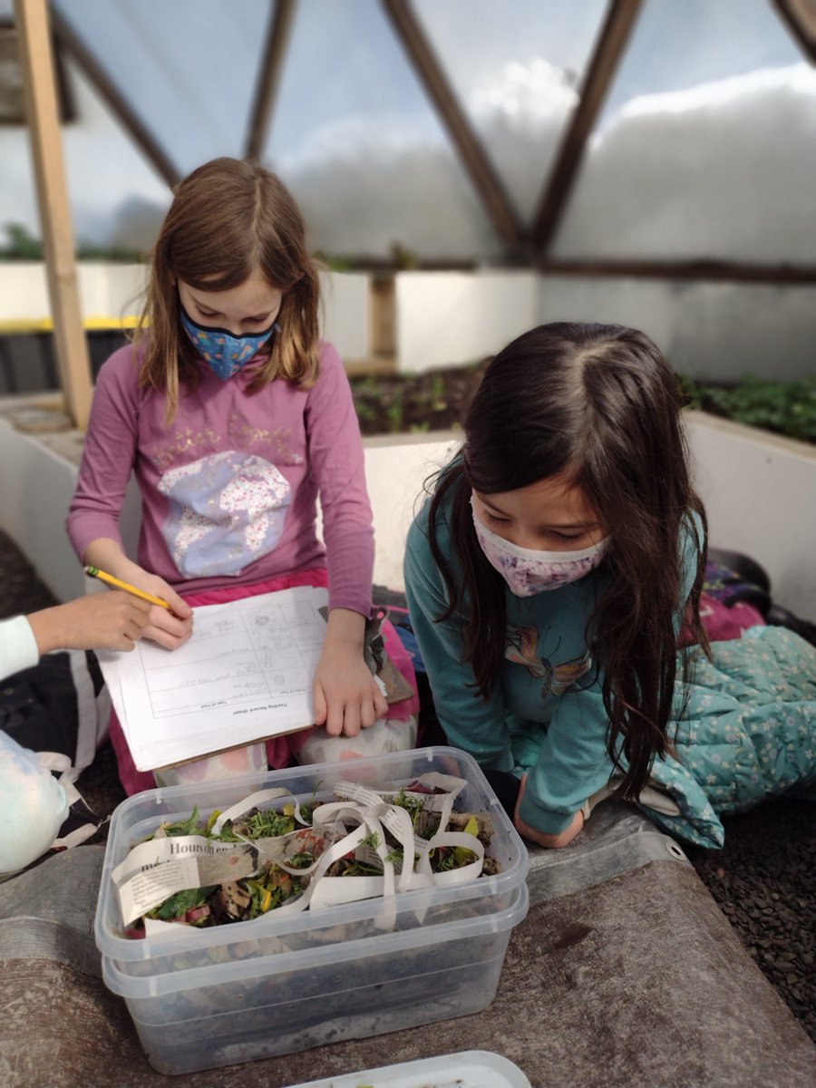 LexMontessori's tweet photo. Through in-class #vermicomposting systems, #LowerElementary children are discovering how worms can eat our garbage! Once the bins are full of the worm's nutrient-rich castings, the children will use them to amend our garden beds!
#IAmLMS #Montessori #Farming #Compost https://t.co/mZgomkqwM2