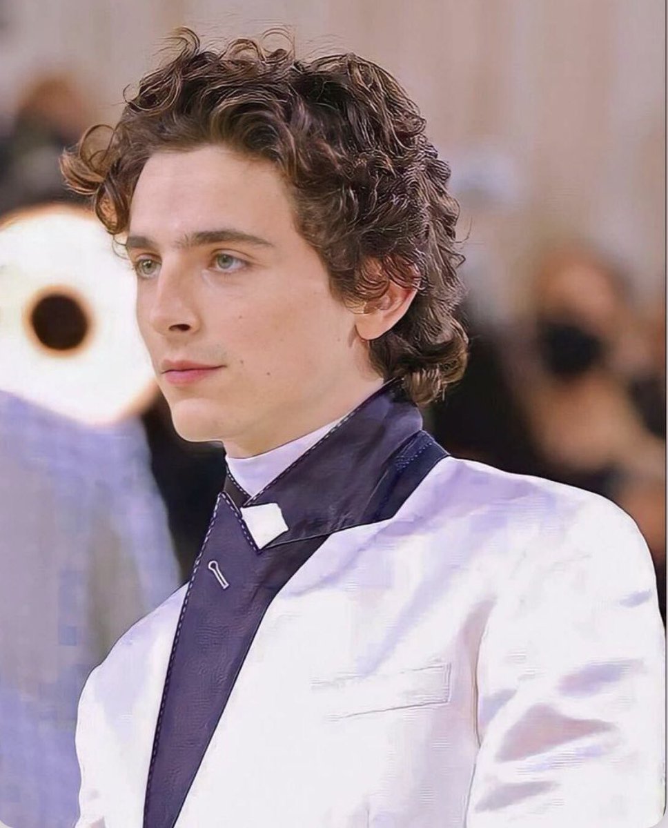 His beaty is insane
#TimotheeChalamet #MetGala2021