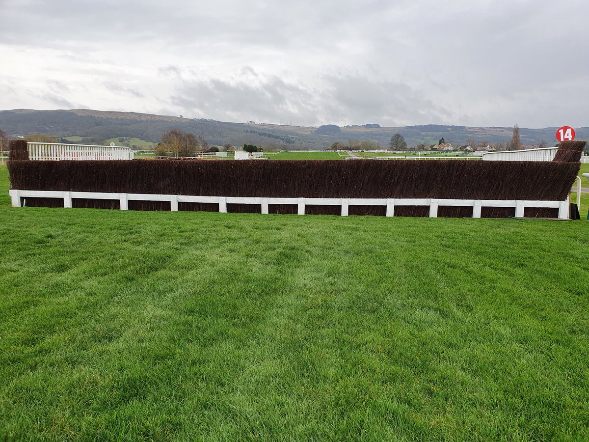 MM_Seed's tweet photo. @bencheltenham   Grey skies at Cheltenham but the ground and grass coverage is tremendous, good luck to Ben and his team next week #Groundsmanship #MM60 https://t.co/JoVHSWPJb5