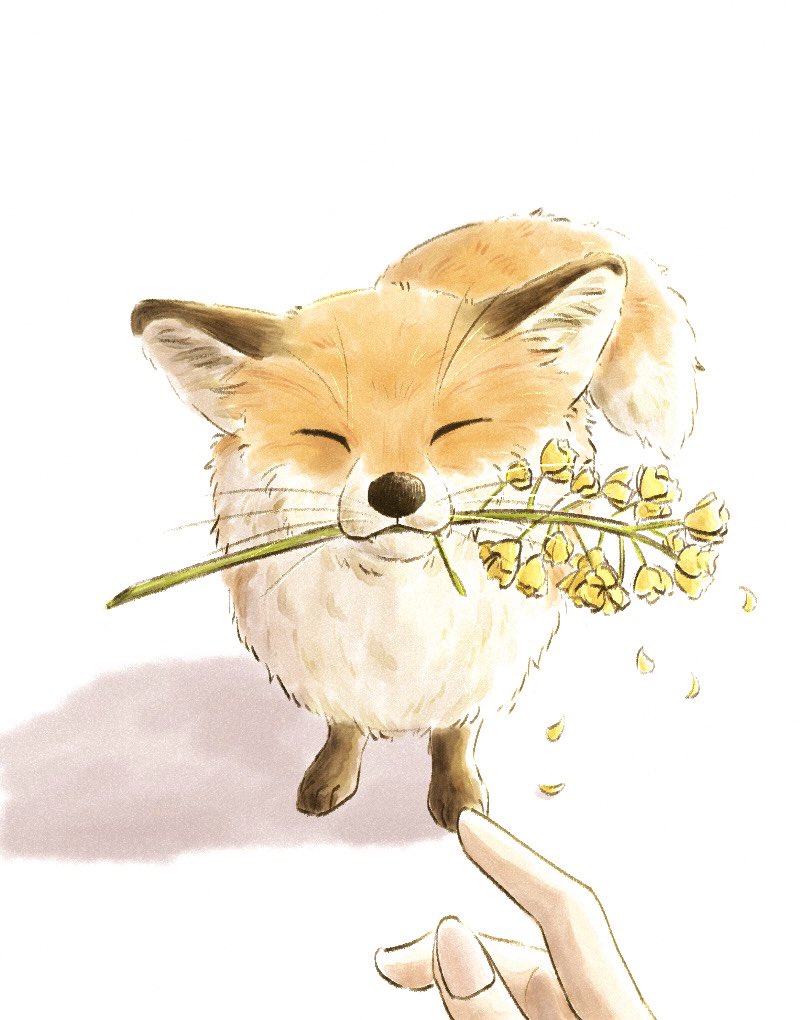 animal focus closed eyes white background flower petals fox no humans  illustration images